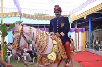 Sunil Photo Gallery